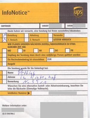 Petting im Hinterhof