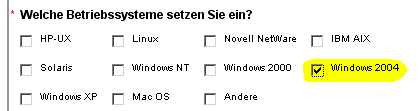 Windows2004